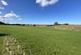 Crown Drive, Skirlaugh, Hull photo 2
