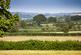 Babcary, Somerton, Somerset photo 4