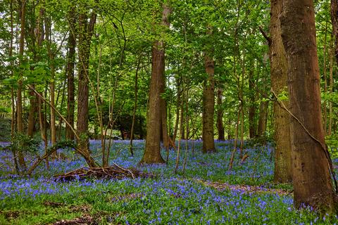 undefined, Hoe Lane, North Baddesley, Southampton