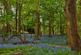 Hoe Lane, North Baddesley, Southampton photo 4