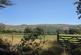 Yelverton photo 3