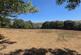 Yelverton photo 5