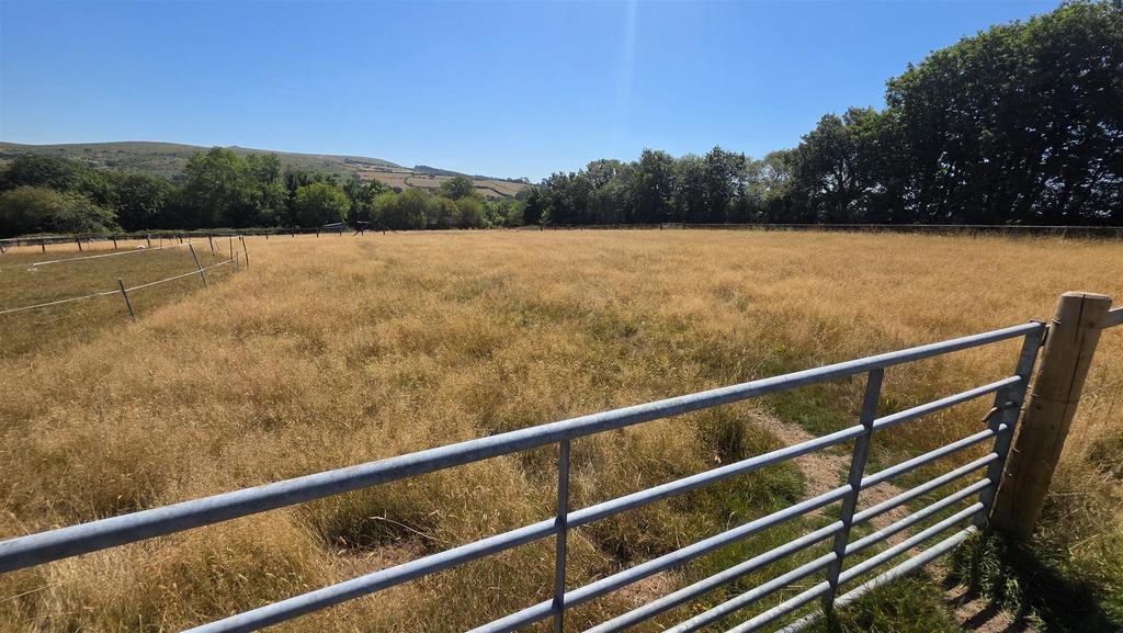 Yelverton - More