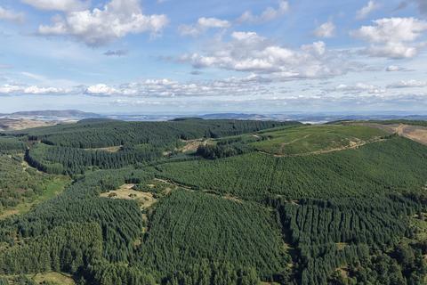 undefined, Rashiehill & Northhill Forest, Near Kinross, Perthshire PH2