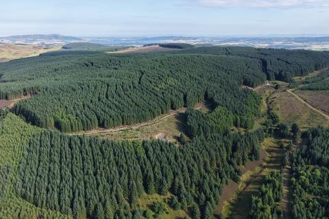 undefined, Rashiehill & Northhill Forest, Near Kinross, Perthshire PH2