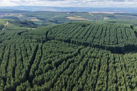 undefined, Rashiehill & Northhill Forest, Near Kinross, Perthshire PH2