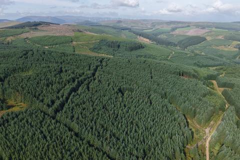 undefined, Rashiehill & Northhill Forest, Near Kinross, Perthshire PH2