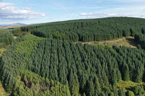 undefined, Rashiehill & Northhill Forest, Near Kinross, Perthshire PH2