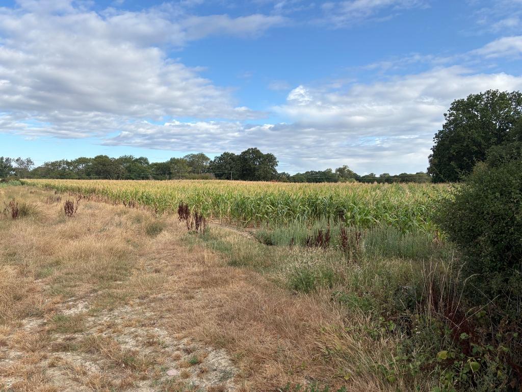Smalls Hill Road, Norwood Hill, Horley, Surrey, RH6 - View 3