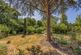 The Rookery, Emsworth photo 2