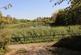 Walton Park, Milton Keynes MK7 photo 3