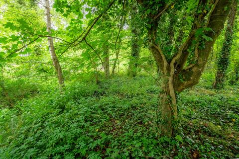 Land for sale, Coppice at Horwood