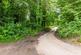 Coppice at Horwood photo 3
