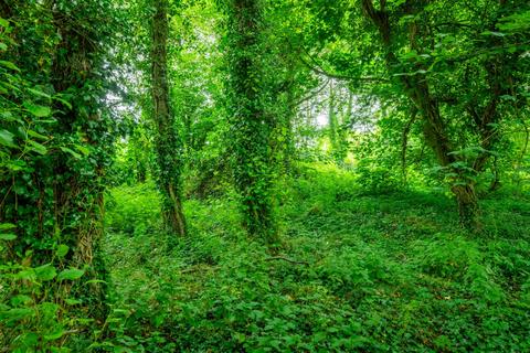 Land for sale, Coppice at Horwood