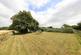 Staithes Road, Preston, Hull photo 5