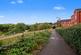 Marigold Walk, Nuneaton, CV10 photo 4