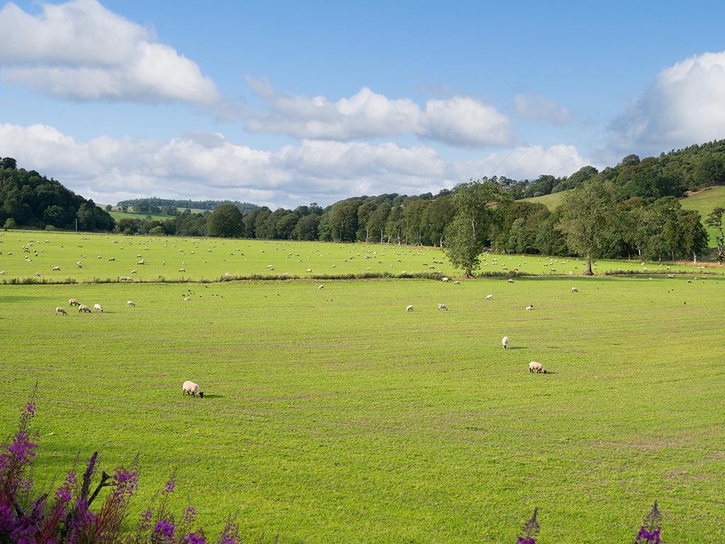 Blyth Bridge, Peeblesshire EH46 - View 4