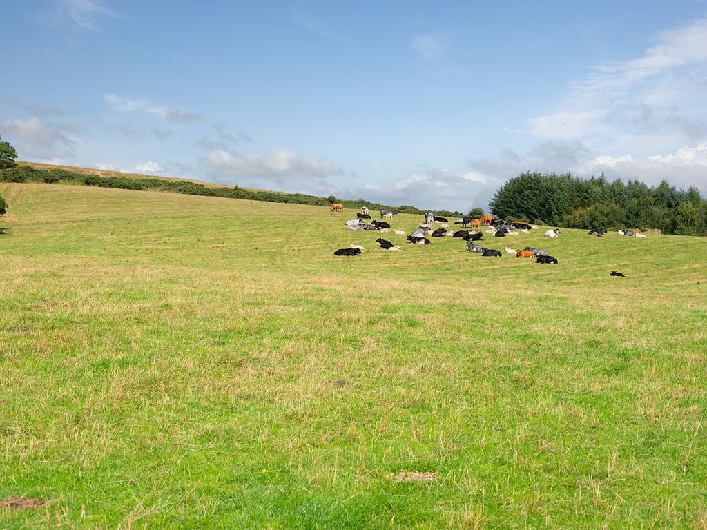 House in Peeblesshire - View 4