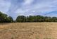 Throwleigh, Okehampton EX20 photo 3