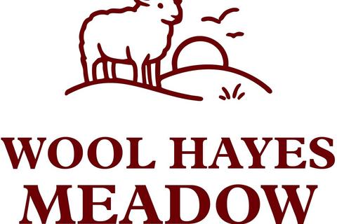 4 bedroom detached house for sale, Plot 9 The Ash, Wool Hayes Meadow, Shepton Beauchamp, Ilminster, Somerset, TA19