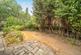 Perry Way, Lightwater photo 4