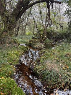 Land for sale, Sticklepath, Devon EX20