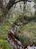 Sticklepath, Devon EX20 photo 3
