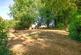 Elston, Salisbury, SP3 photo 2