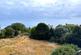 Waldron Road, Broadstairs, CT10 photo 5