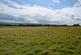 (Just over Three and a half acres), Silverburn, Penicuik, Midlothian EH26 photo 3