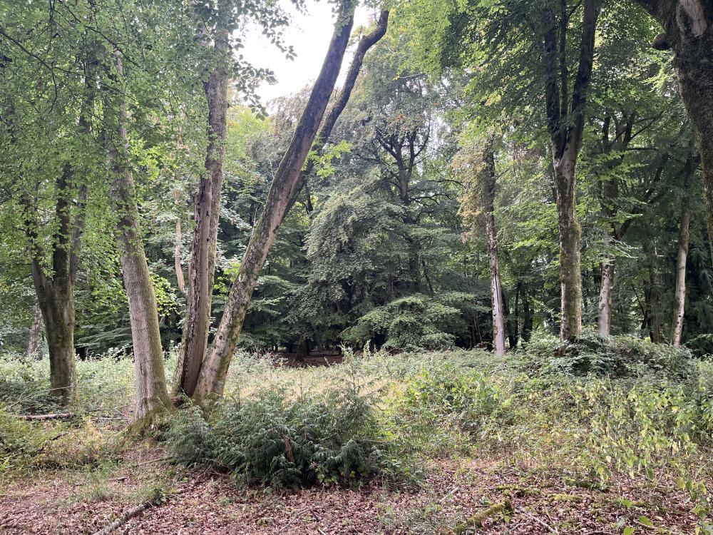 (About Two and a Quarter acres), Crawley, Winchester, Hampshire SO21 - View 2