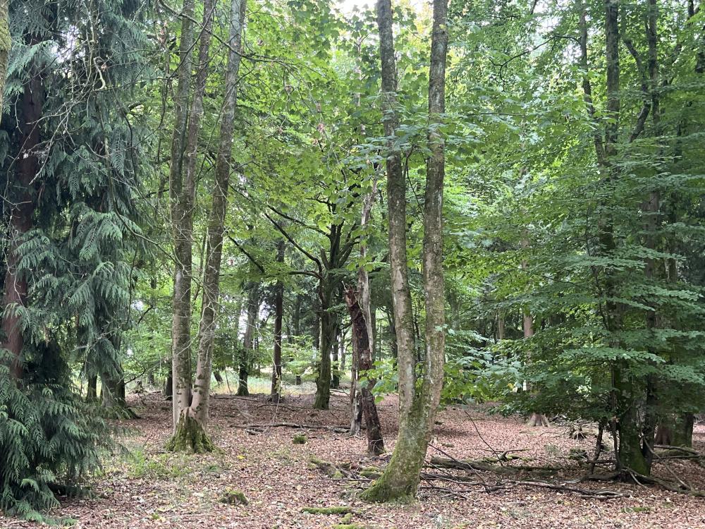 (About Two and a Quarter acres), Crawley, Winchester, Hampshire SO21 - View 4