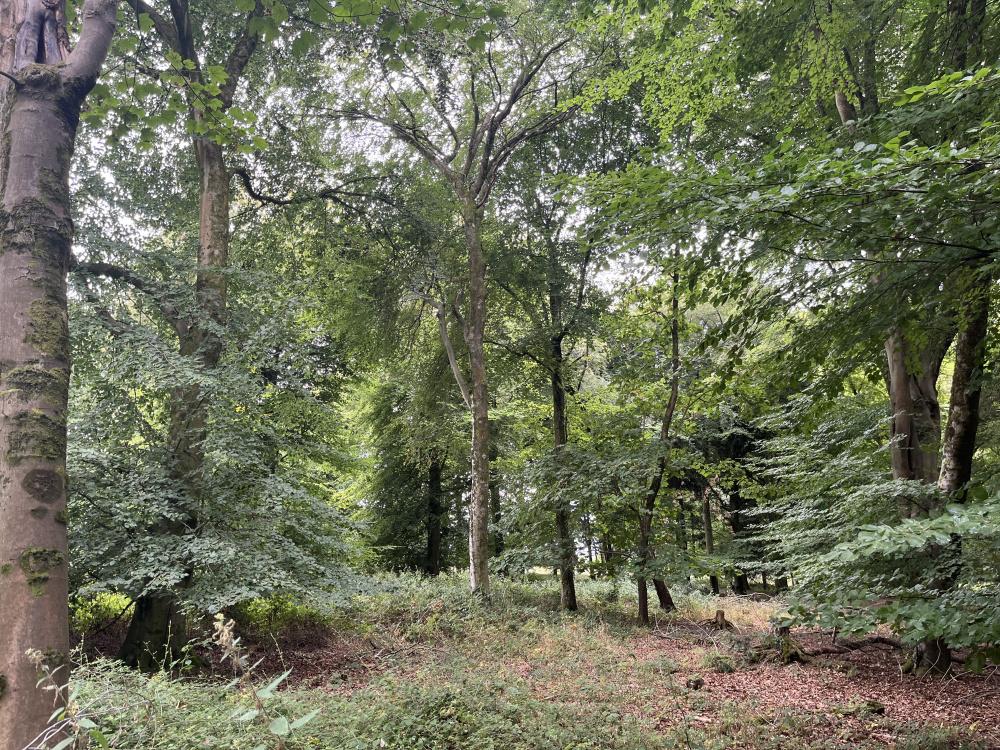 (About Two and a Quarter acres), Crawley, Winchester, Hampshire SO21 - View 5