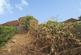 Dunsmore Road, Luton photo 5