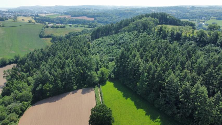Holbeam Wood, Newton Abbot, Devon TQ12 21.49 Acres (8.69 Ha)