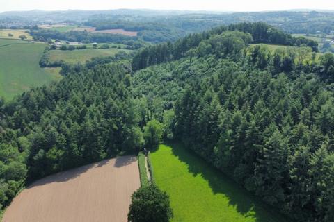 Woodland for sale, Holbeam Wood, Newton Abbot, Devon TQ12 21.49 Acres (8.69 Ha)