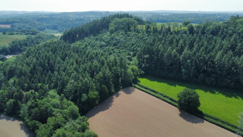 Holbeam Wood, Newton Abbot, Devon TQ12 21.49 Acres (8.69 Ha) - View 3