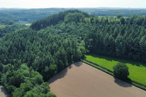 Woodland for sale, Holbeam Wood, Newton Abbot, Devon TQ12 21.49 Acres (8.69 Ha)