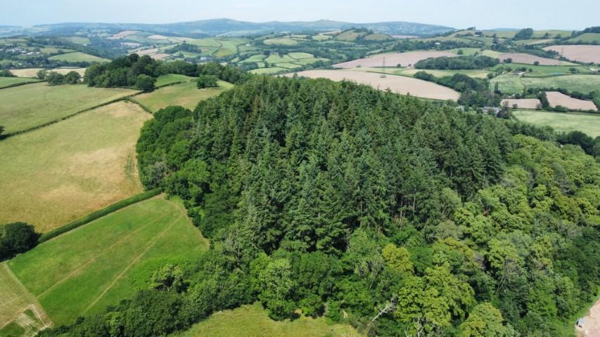Holbeam Wood, Newton Abbot, Devon TQ12 21.49 Acres (8.69 Ha) - View 4