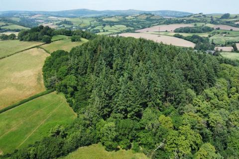 Woodland for sale, Holbeam Wood, Newton Abbot, Devon TQ12 21.49 Acres (8.69 Ha)