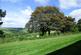 Norton, Dartmouth photo 2