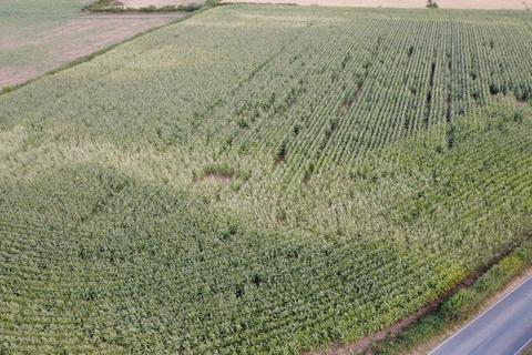 Farm land for sale, Manobier, Tenby, SA70