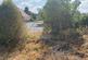 Birlingham, Pershore WR10 photo 3