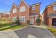 Dol Fedw, Wrexham, LL11