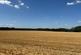 Albrighton Road, Burnhill Green, Nr Wolverhampton.
