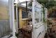 Trelispen Park, Gorran Haven, St Austell, PL26 photo 3