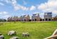 The Cedar, Kingsley Park, Centurion Way, Billericay, Essex photo 3
