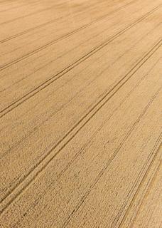 Land for sale, Scarrington, Nottinghamshire