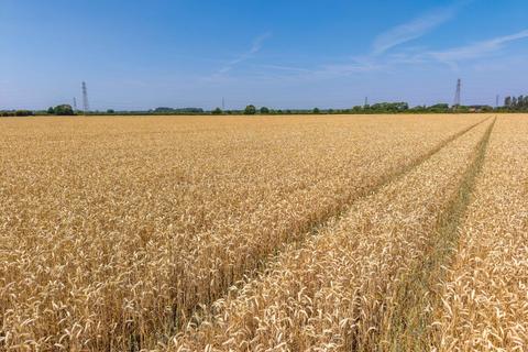 Land for sale, Scarrington, Nottinghamshire
