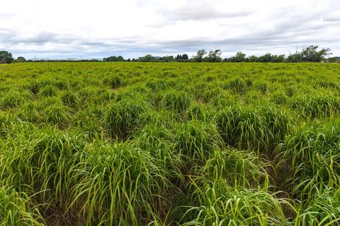 Land for sale, Retford, Nottinghamshire